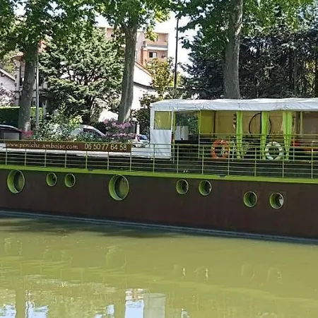 Péniche Amboise Centre Port Saint Sauveur * Tolosa
